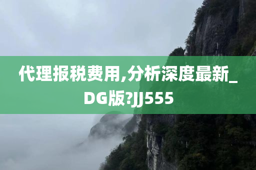 代理报税费用,分析深度最新_DG版?JJ555