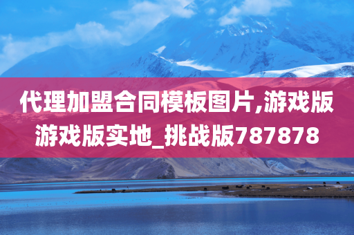 代理加盟合同模板图片,游戏版游戏版实地_挑战版787878