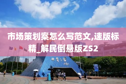 市场策划案怎么写范文,速版标精_解民倒悬版ZS2