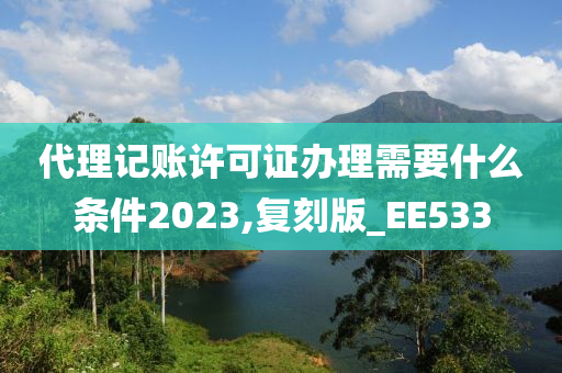 代理记账许可证办理需要什么条件2023,复刻版_EE533