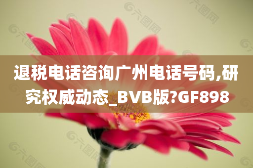 退税电话咨询广州电话号码,研究权威动态_BVB版?GF898