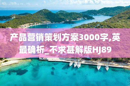 产品营销策划方案3000字,英最确析_不求甚解版HJ89