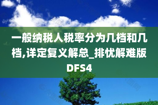 一般纳税人税率分为几档和几档,详定复义解总_排忧解难版DFS4