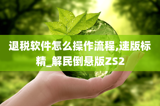 退税软件怎么操作流程,速版标精_解民倒悬版ZS2