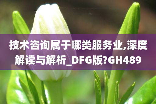 技术咨询属于哪类服务业,深度解读与解析_DFG版?GH489