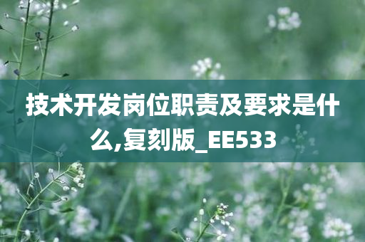 技术开发岗位职责及要求是什么,复刻版_EE533