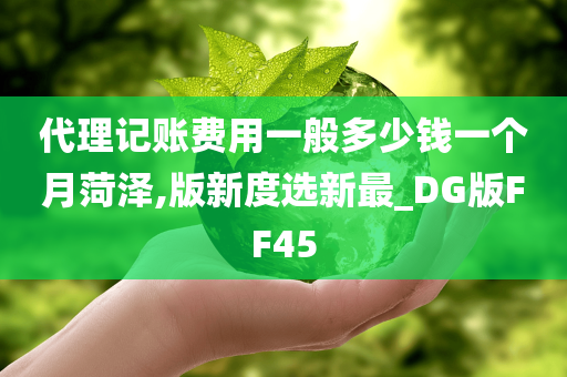 代理记账费用一般多少钱一个月菏泽,版新度选新最_DG版FF45