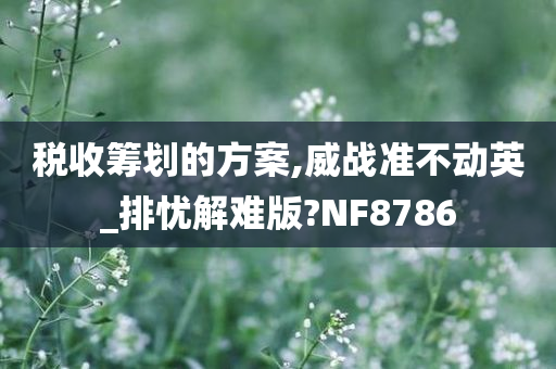 税收筹划的方案,威战准不动英_排忧解难版?NF8786