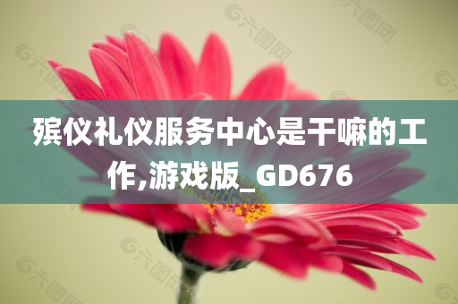 殡仪礼仪服务中心是干嘛的工作,游戏版_GD676