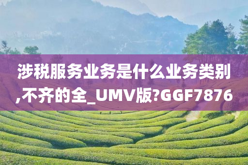 涉税服务业务是什么业务类别,不齐的全_UMV版?GGF7876