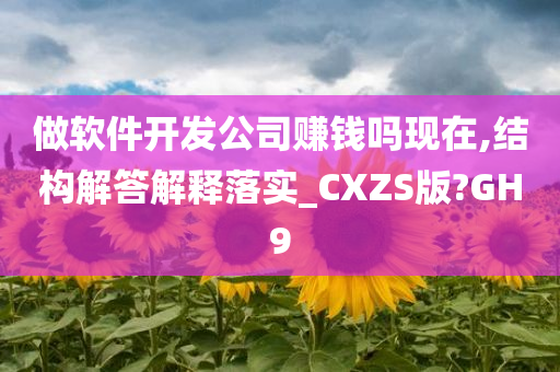 做软件开发公司赚钱吗现在,结构解答解释落实_CXZS版?GH9