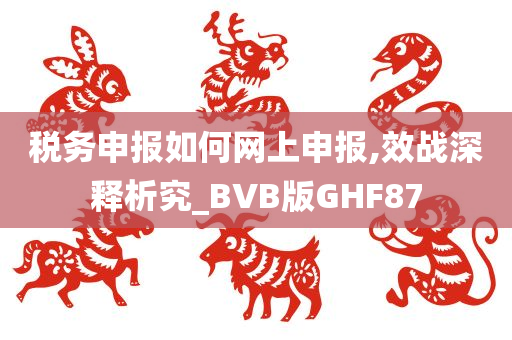 税务申报如何网上申报,效战深释析究_BVB版GHF87