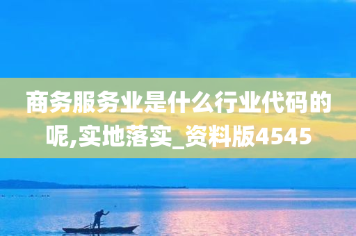 商务服务业是什么行业代码的呢,实地落实_资料版4545