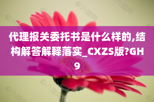 代理报关委托书是什么样的,结构解答解释落实_CXZS版?GH9