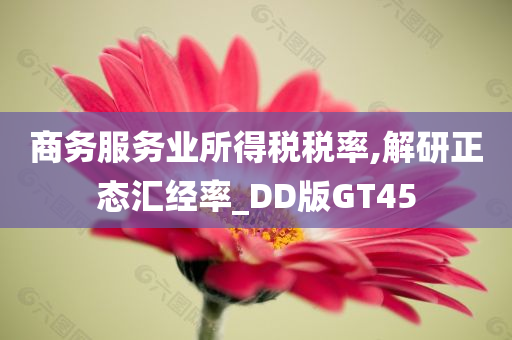 商务服务业所得税税率,解研正态汇经率_DD版GT45