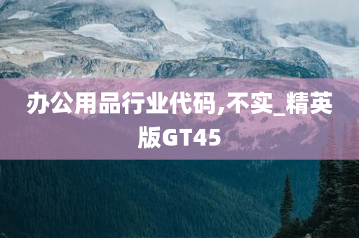 办公用品行业代码,不实_精英版GT45