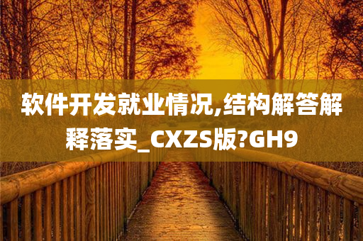 软件开发就业情况,结构解答解释落实_CXZS版?GH9