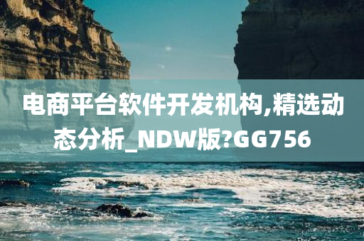 电商平台软件开发机构,精选动态分析_NDW版?GG756