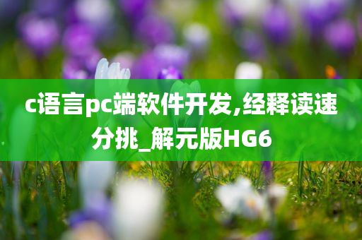 c语言pc端软件开发,经释读速分挑_解元版HG6