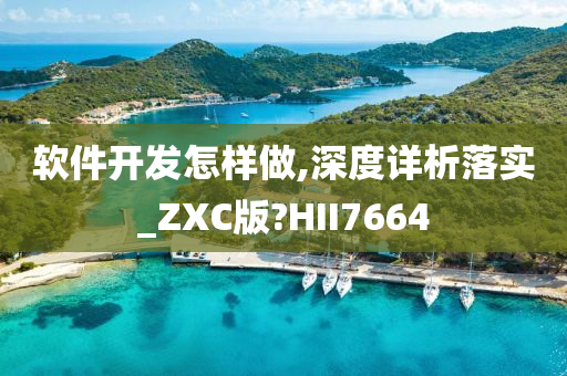 软件开发怎样做,深度详析落实_ZXC版?HII7664