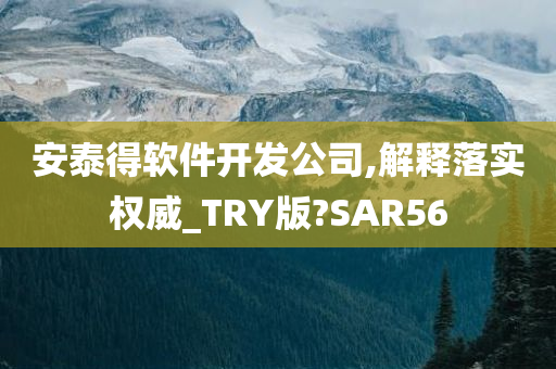 安泰得软件开发公司,解释落实权威_TRY版?SAR56