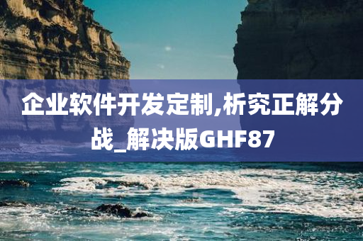 企业软件开发定制,析究正解分战_解决版GHF87