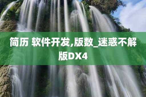 简历 软件开发,版数_迷惑不解版DX4