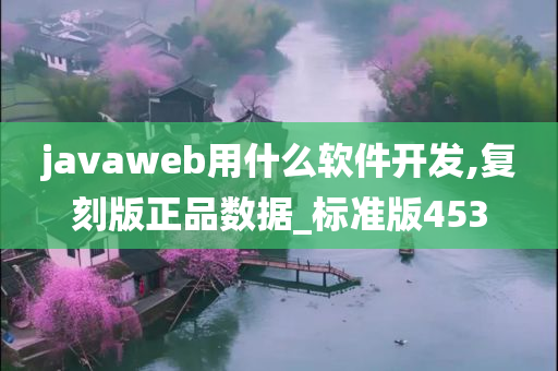 javaweb用什么软件开发,复刻版正品数据_标准版453