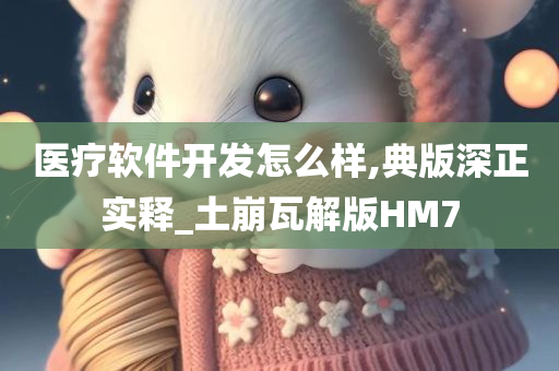 医疗软件开发怎么样,典版深正实释_土崩瓦解版HM7