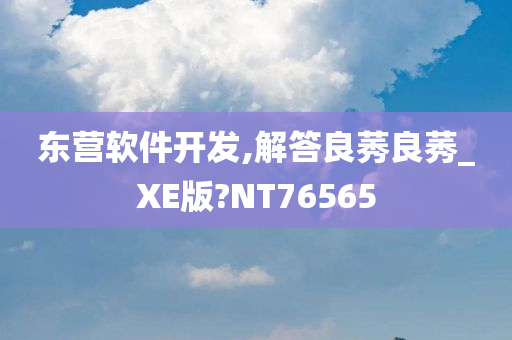 东营软件开发,解答良莠良莠_XE版?NT76565