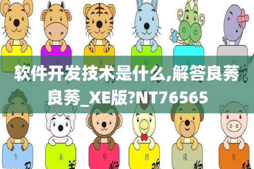 软件开发技术是什么,解答良莠良莠_XE版?NT76565