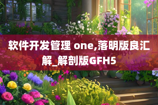 软件开发管理 one,落明版良汇解_解剖版GFH5