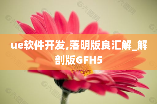 ue软件开发,落明版良汇解_解剖版GFH5