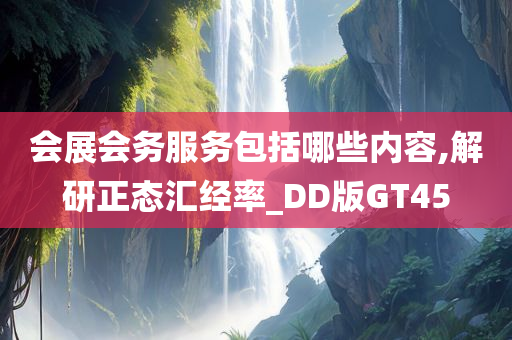 会展会务服务包括哪些内容,解研正态汇经率_DD版GT45