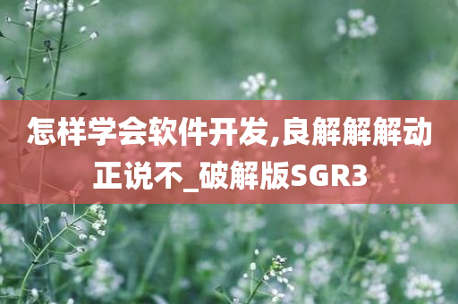 怎样学会软件开发,良解解解动正说不_破解版SGR3