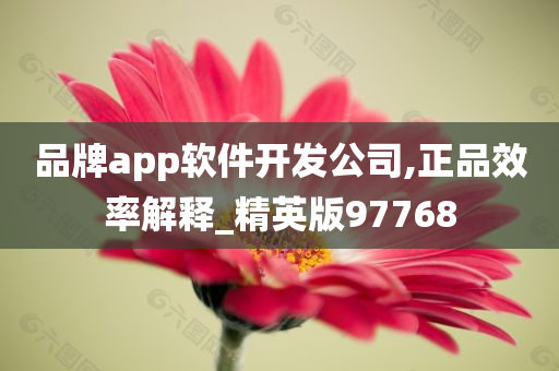 品牌app软件开发公司,正品效率解释_精英版97768