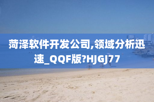 菏泽软件开发公司,领域分析迅速_QQF版?HJGJ77