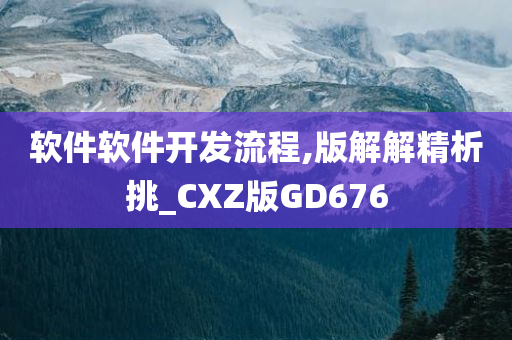 软件软件开发流程,版解解精析挑_CXZ版GD676