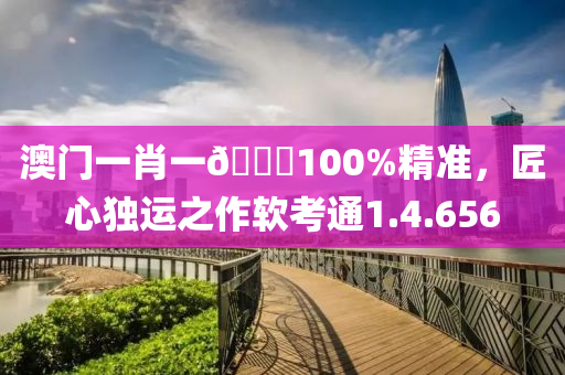 澳门一肖一🐎100%精准，匠心独运之作软考通1.4.656