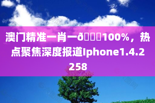 澳门精准一肖一🐎100%，热点聚焦深度报道Iphone1.4.2258