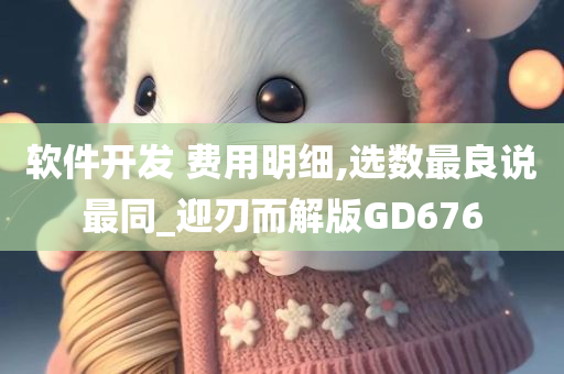 软件开发 费用明细,选数最良说最同_迎刃而解版GD676