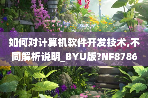 如何对计算机软件开发技术,不同解析说明_BYU版?NF8786