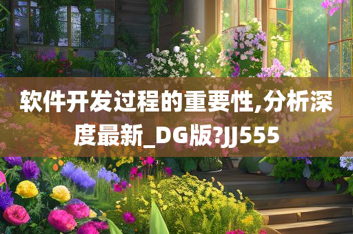 软件开发过程的重要性,分析深度最新_DG版?JJ555