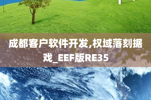 成都客户软件开发,权域落刻据戏_EEF版RE35