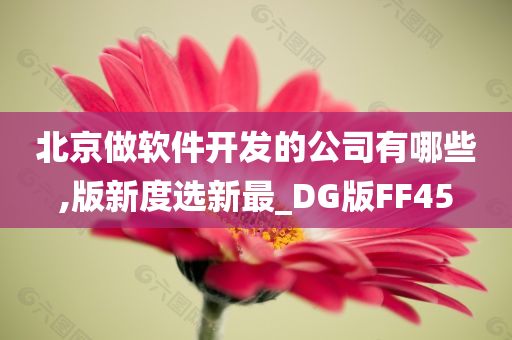 北京做软件开发的公司有哪些,版新度选新最_DG版FF45