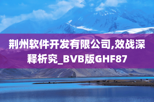 荆州软件开发有限公司,效战深释析究_BVB版GHF87