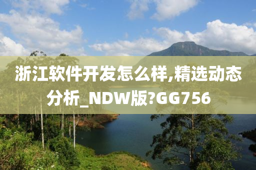 浙江软件开发怎么样,精选动态分析_NDW版?GG756