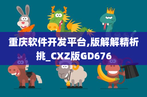 重庆软件开发平台,版解解精析挑_CXZ版GD676