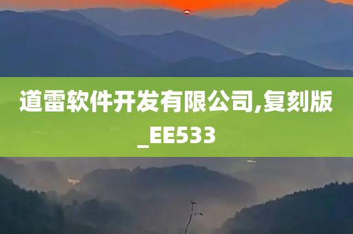 道雷软件开发有限公司,复刻版_EE533