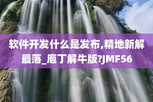 软件开发什么是发布,精地新解最落_庖丁解牛版?JMF56